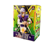 2024 Panini Phoenix Football Blaster Box for sale — Trace n Chase USA