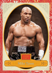 2025 Panini Combat Anthology Blaster Box for sale — Trace n Chase USA