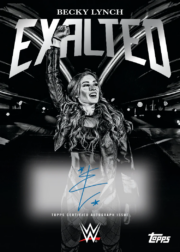 2025 Topps Exalted WWE Hobby Box for sale — Trace n Chase USA