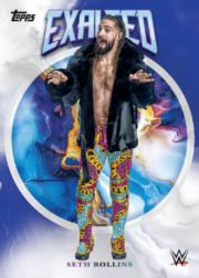 2025 Topps Exalted WWE Hobby Box for sale — Trace n Chase USA