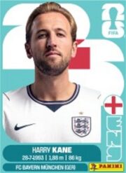 2026 Panini FIFA World Cup Soccer 50 Pack Sticker Box for sale — Trace n Chase USA