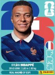 2026 Panini FIFA World Cup Soccer 50 Pack Sticker Box for sale — Trace n Chase USA