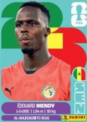 2026 Panini FIFA World Cup Soccer 50 Pack Sticker Box for sale — Trace n Chase USA
