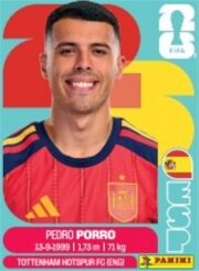 2026 Panini FIFA World Cup Soccer 50 Pack Sticker Box for sale — Trace n Chase USA